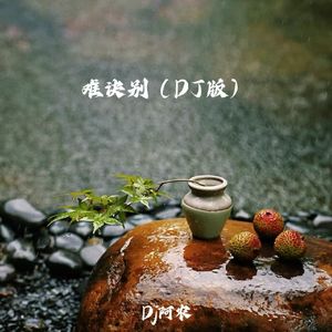 难诀别（DJ版）