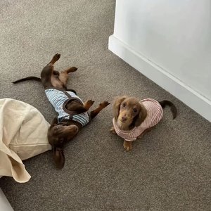 潮湿巷道的回忆