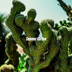 Background for Iced Double Americano