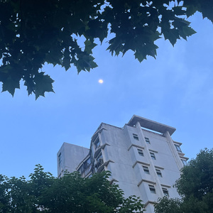 总有一天你会出现在我身边