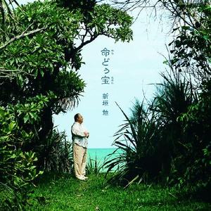 白百合の花が咲く頃