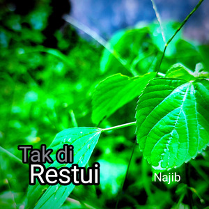 Tak Di Restui