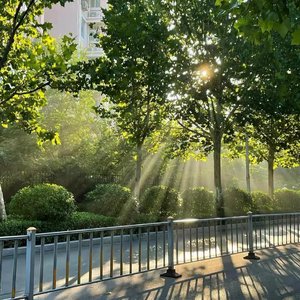 你的行为就是答案