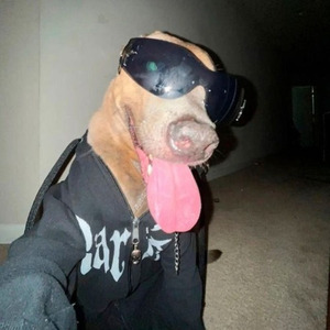 flip flop Hoodtrap Jerk