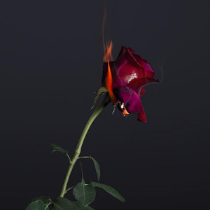 Novocaine (feat. Shiloh Dynasty)