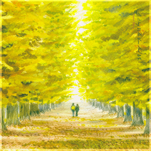 다시 찾은 이 밤