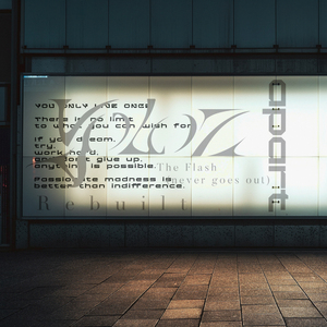 The Flash(never goes out)