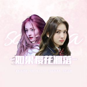 如果樱花凋落（IOI）