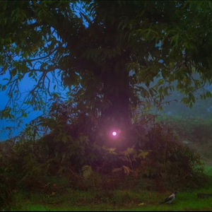 【Free】 “消失殆尽” TrapSoul Type Beat