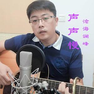 声声慢