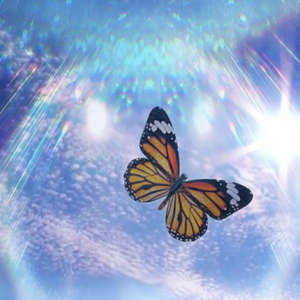 Eat More Lettuce Dave