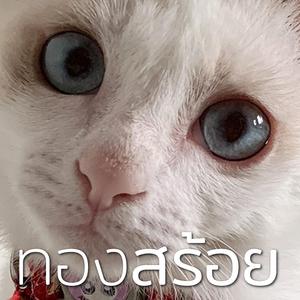 ทองสร้อย