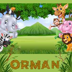 Orman