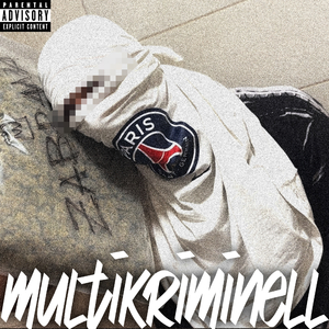 Multikriminell
