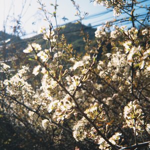 郭源潮（酒吧）