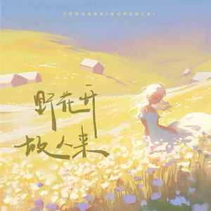 野花开，故人来