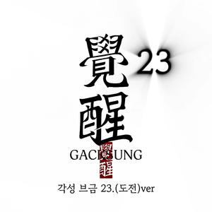 각성브금23.도전ver
