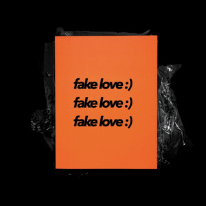 FAKE LOVE