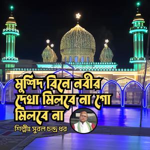 Murshid Biney Nabir Dekha Milbe Na Go Milbey Na || মুর্শিদ বিনে নবীর দেখা মিলবে না গো মিলবে না || মুর্শিদী গান || দরবারী গান || বাউল গান || সুরেশ্বরী গান (feat. Subol Chandro Dhor)