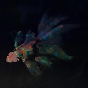 Unkempt (Including The Dance Of Tribadism)