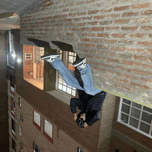 Al reves (Extended Version)