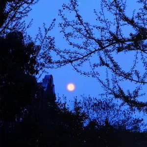 猜不透（翻自 群星）