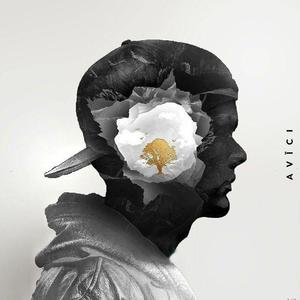 Avicii & Sandro Cavazza - without you (Tudor remix)