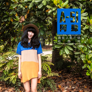 我在人民广场吃炸鸡