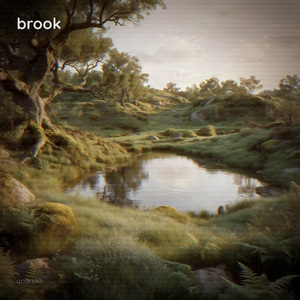 Brook