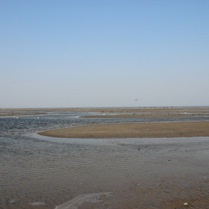 LOVE HOW YOU LOVE ME