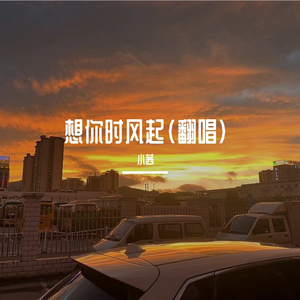 想你时风起