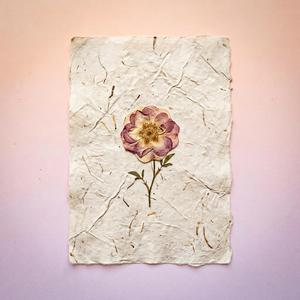 あの日のこと【SERA】