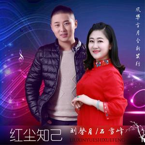 红尘知己 (DJ版)