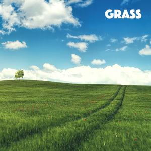 Grass