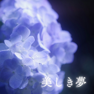 美しき夢