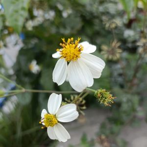 今生相爱两分开