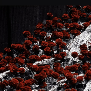 南半球与北海道（完整钢琴版）