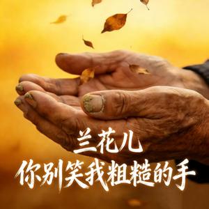 你别笑我粗糙的手