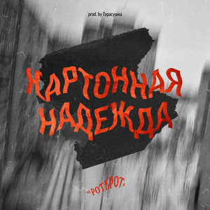 Картонная надежда (Remix)