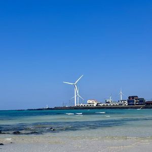 大海的多彩画卷