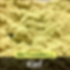 Kief