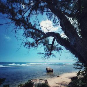 Breathing Calmly (Fifteen Minute Meditation)