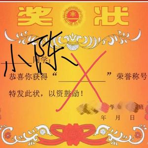 奖状（Prod MoonVibe & 9Zi ）