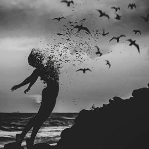 Unwritten in the Stars