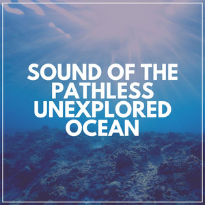 Themohaline Circulation