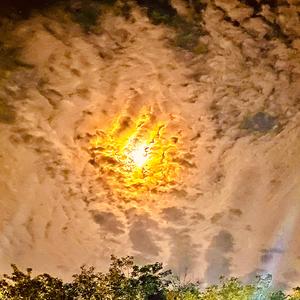 【FREE】“十面埋伏” 空城计 中国风Trap 三弦&古筝&箫&琵琶 采样空城计旋律