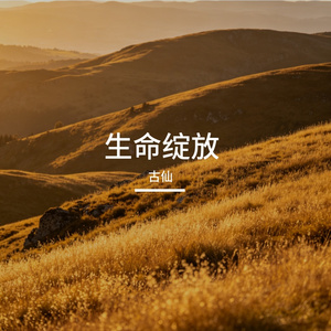 生命绽放