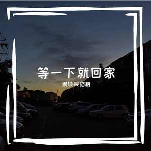 天空之城-天空之城（陶笛）（攒钱买猫粮 remix）