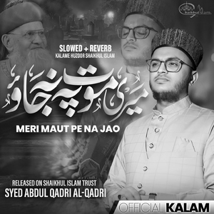 Meri Maut Pe Na Jao (Lofi-Mix)