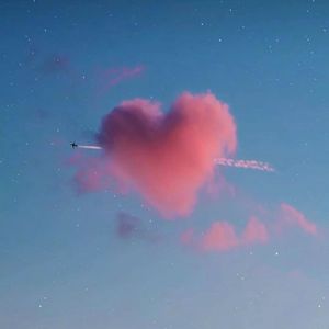 【Free】土象处女